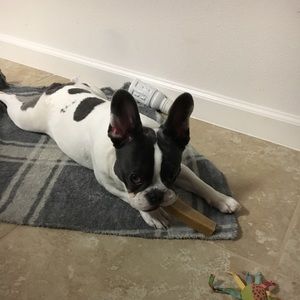 Meet your Posher, Steven